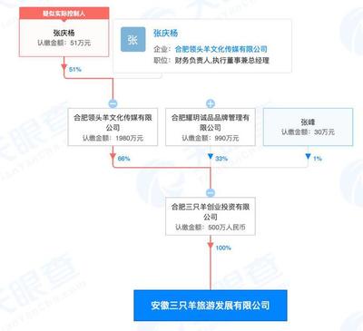 瘋狂小楊哥成立三只羊旅游公司