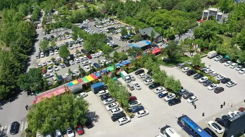 五一 假期圓滿收官,新甫山旅游人次和經(jīng)營收入均創(chuàng)歷史新高