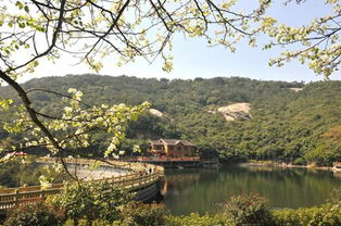 全域旅游背景下的景區運營管理升級之道