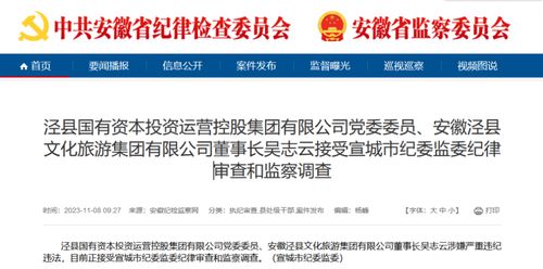 安徽一縣文旅集團董事長,被查