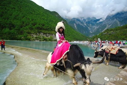 云南旅游聘任李堅(jiān)為公司總經(jīng)理