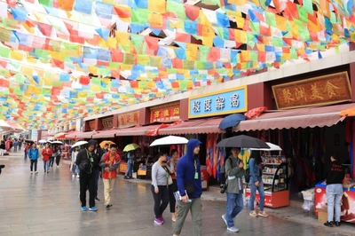 “香巴林卡·宗喀驛”:文化與商業融合的范例