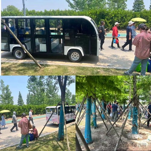 搞活動也要有管理能力,不然能不能換人 鹽城大洋灣生態旅游景區運營管理能力遭吐槽