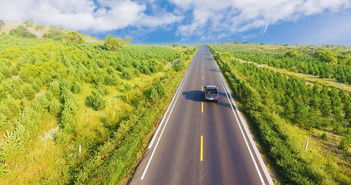 縱橫運營 托管運營,旅游景區運營步入新時代