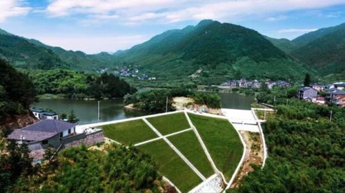 最高獎勵200萬 臨安這6個村招引鄉村運營師