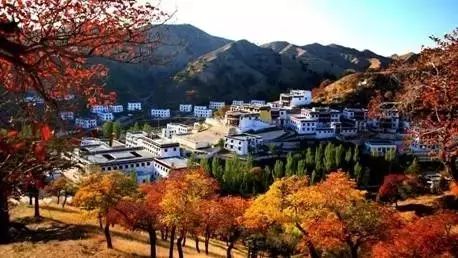 作為通遼人,我們居然有這么多錢可以領(lǐng) 現(xiàn)在看還不晚...