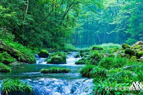 去張家界旅游有什么好玩的 2 5天怎么玩 張家界旅游攻略