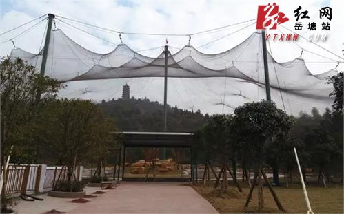 湘潭盤龍大觀園多措并舉，從容應對春節旅游高峰