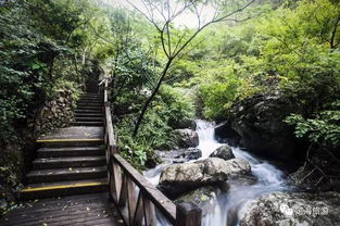 定海旅游景區管理辦法頒布，規范景區等級評定與經營管理