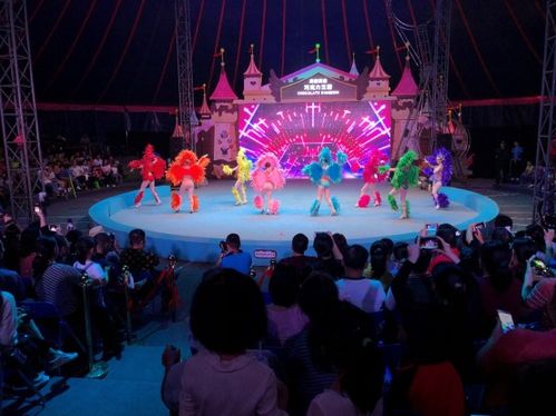 五一假期中國(guó)文旅集團(tuán)開曼景區(qū)迎客逾20萬(wàn)人次，景區(qū)經(jīng)營(yíng)管理成效顯著